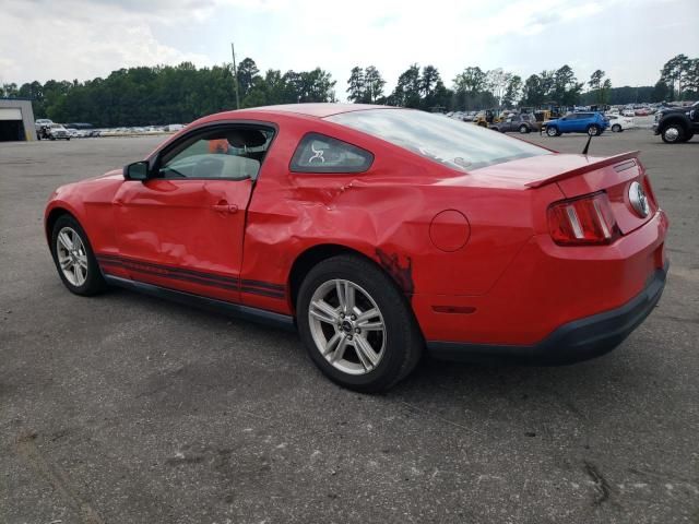 2010 Ford Mustang