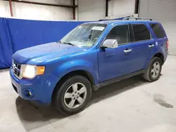 Salvage cars for sale from Copart Hurricane, WV: 2011 Ford Escape XLT