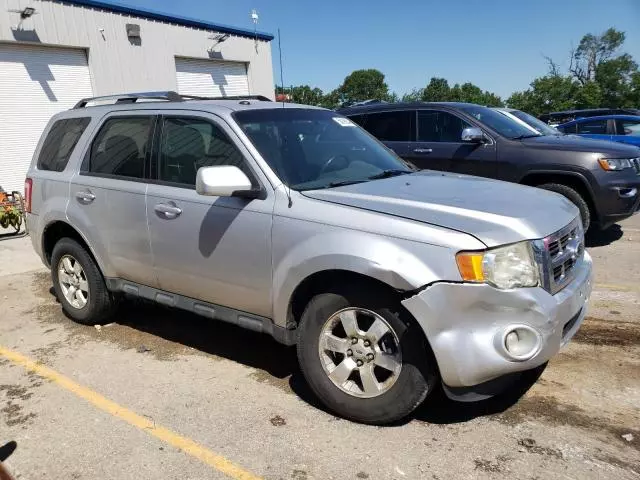 2011 Ford Escape Limited