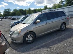 2005 Honda Odyssey EXL en venta en Grantville, PA