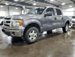 Salvage cars for sale at Ham Lake, MN auction: 2014 Ford F150 Supercrew