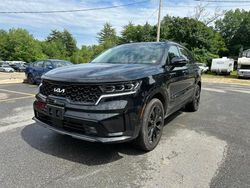 Salvage cars for sale at North Billerica, MA auction: 2023 KIA Sorento SX