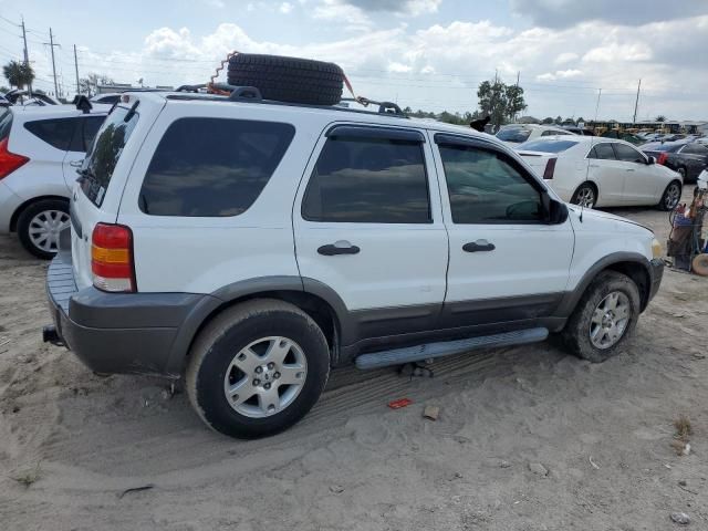 2006 Ford Escape XLT