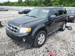 Ford Vehiculos salvage en venta: 2011 Ford Escape XLT