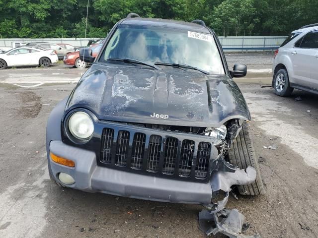 2004 Jeep Liberty Sport