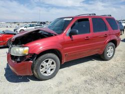 SUV salvage a la venta en subasta: 2006 Ford Escape Limited