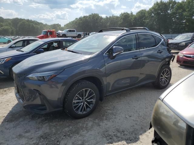 2022 Lexus NX 350H