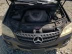 2006 Mercedes-Benz ML 350