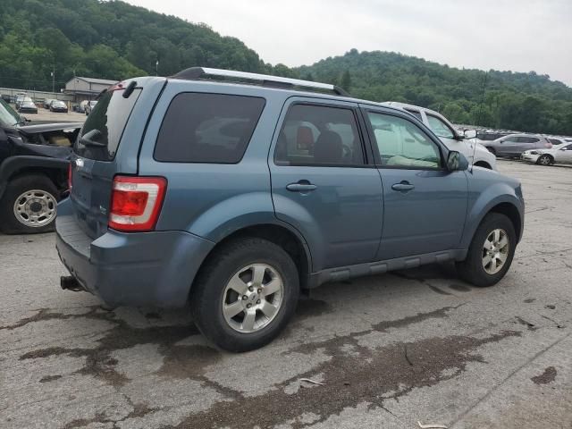 2011 Ford Escape Limited