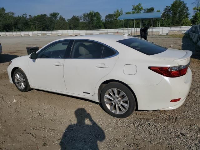 2014 Lexus ES 300H