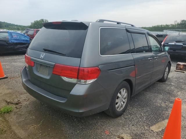 2008 Honda Odyssey EXL