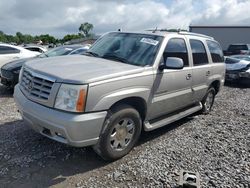 Cadillac salvage cars for sale: 2005 Cadillac Escalade Luxury