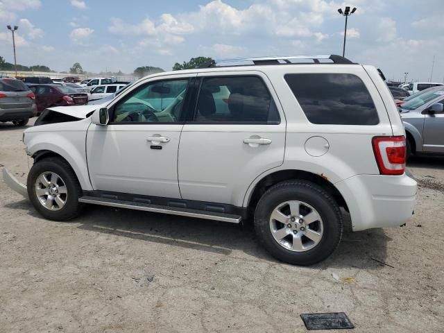 2011 Ford Escape Limited