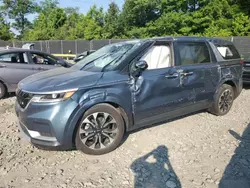 KIA Carnival e Vehiculos salvage en venta: 2024 KIA Carnival EX