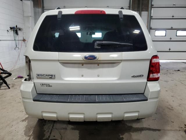 2008 Ford Escape XLT