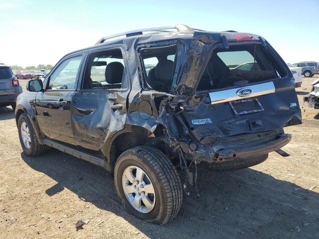 2011 Ford Escape Limited