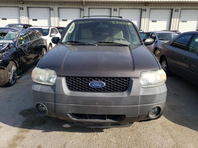 2006 Ford Escape XLT