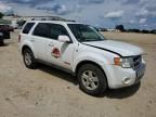 2008 Ford Escape HEV