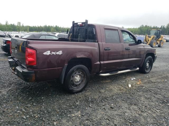 2005 Dodge Dakota Quattro