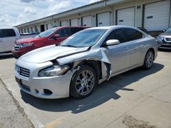 2014 Nissan Maxima S en venta en Louisville, KY