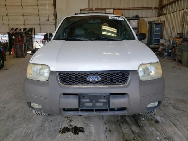 2002 Ford Escape XLT