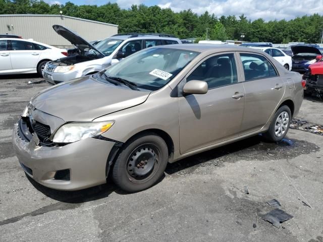 2010 Toyota Corolla Base