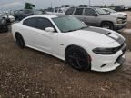 2019 Dodge Charger Scat Pack