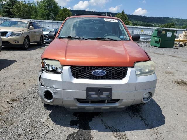 2007 Ford Escape XLT