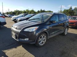 Salvage cars for sale at Denver, CO auction: 2014 Ford Escape Titanium