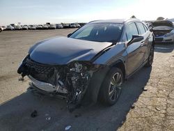 Salvage cars for sale at Martinez, CA auction: 2019 Lexus UX 250H