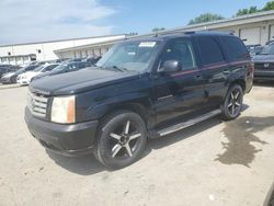 Cadillac Vehiculos salvage en venta: 2005 Cadillac Escalade Luxury