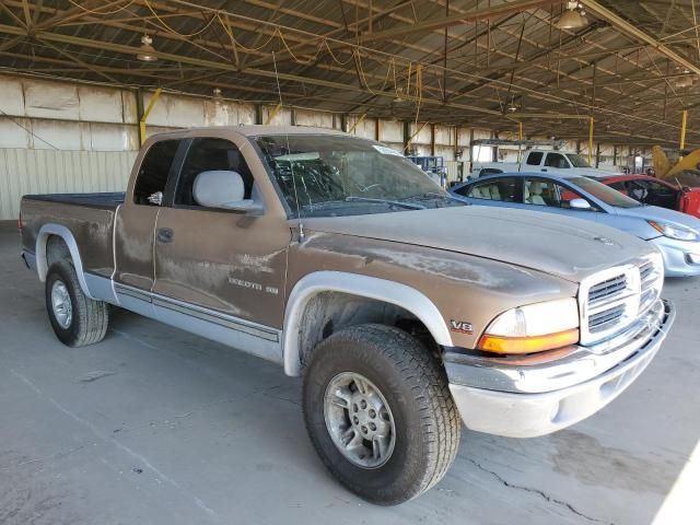 2000 Dodge Dakota