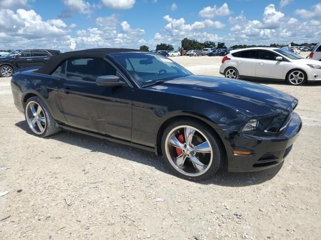 2013 Ford Mustang