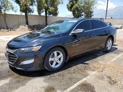 2019 Chevrolet Malibu LS en venta en Rancho Cucamonga, CA