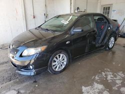 Toyota Corolla salvage cars for sale: 2010 Toyota Corolla Base