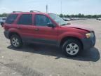 2005 Ford Escape XLT