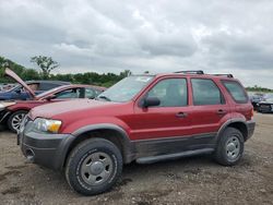 Salvage Cars with No Bids Yet For Sale at auction: 2007 Ford Escape XLS