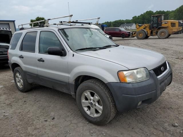 2003 Ford Escape XLT