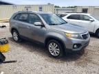 2011 KIA Sorento Base