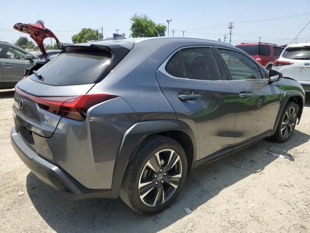 2020 Lexus UX 200