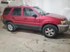 2006 Ford Escape XLT