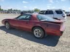 1990 Pontiac Firebird Formula