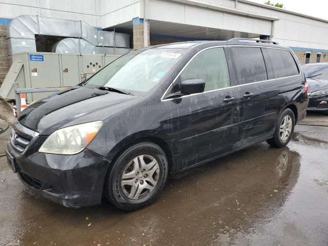 2005 Honda Odyssey EXL