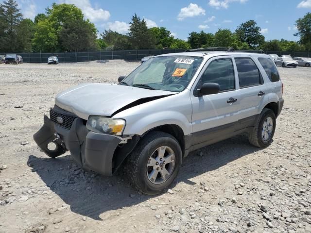 2005 Ford Escape XLT