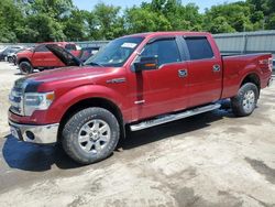 Salvage cars for sale at Ellwood City, PA auction: 2014 Ford F150 Supercrew