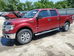 Ford salvage cars for sale: 2014 Ford F150 Supercrew