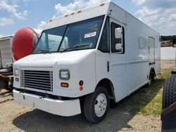 Salvage trucks for sale at Gainesville, GA auction: 2007 Freightliner Chassis M Line WALK-IN Van