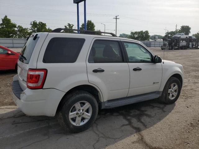 2009 Ford Escape Hybrid