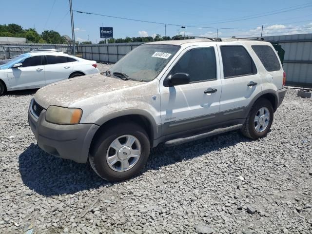 2001 Ford Escape XLT