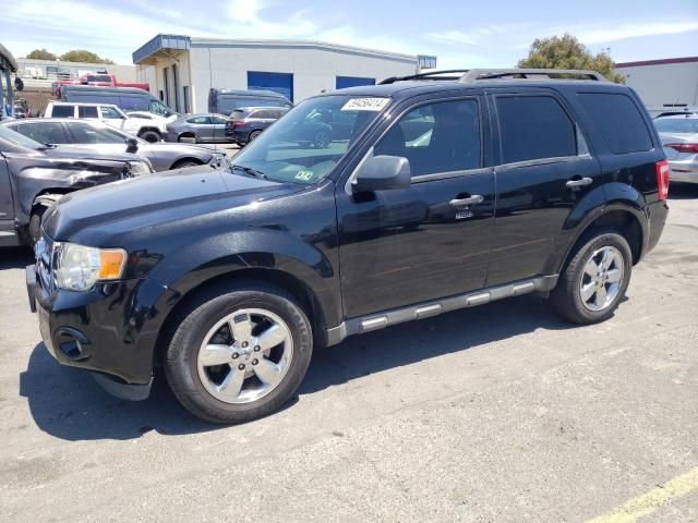 2009 Ford Escape XLT